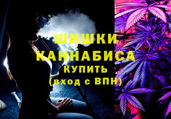 mdpv Богданович