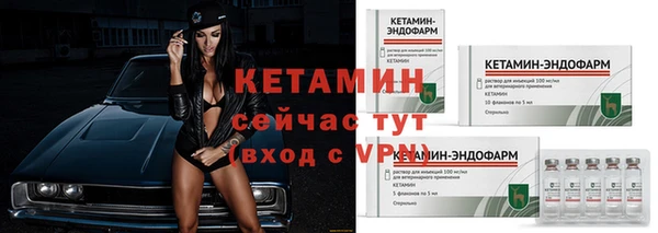 прущие грибы Богородицк