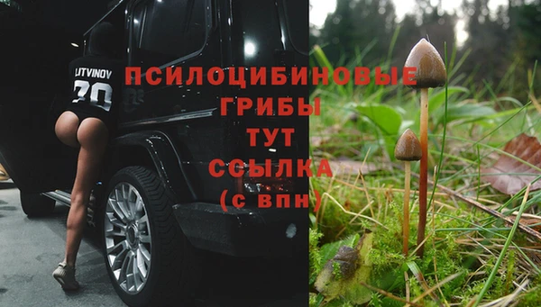 мдма Богородск