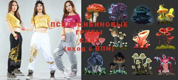 mdpv Богданович
