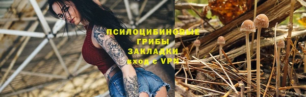 прущие грибы Богородицк