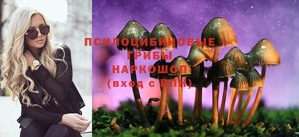 мдма Богородск