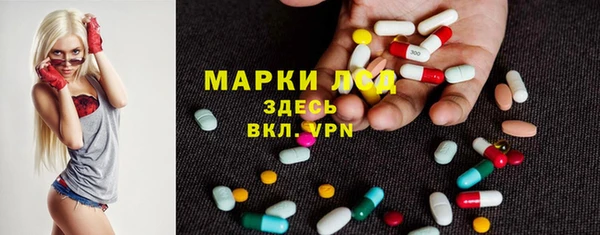 прущие грибы Богородицк