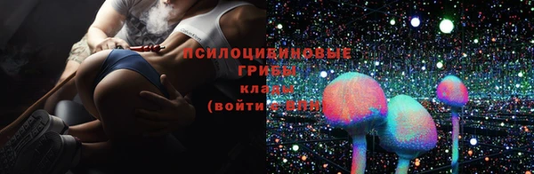 mdpv Богданович