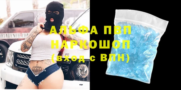 прущие грибы Богородицк