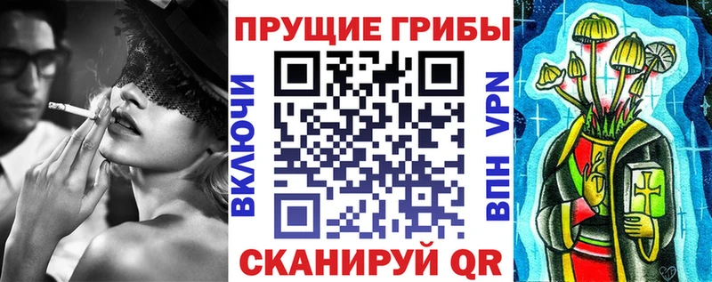 Галлюциногенные грибы GOLDEN TEACHER  Купить где  Нерюнгри 