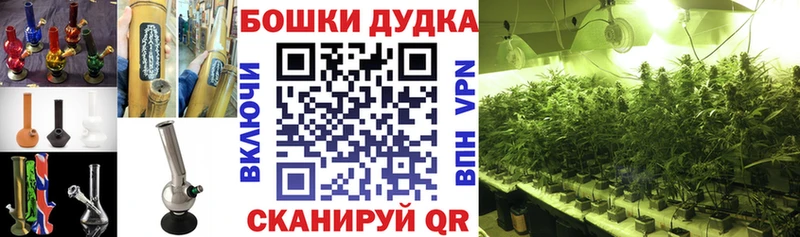 Бошки марихуана Bruce Banner Купить где Нерюнгри